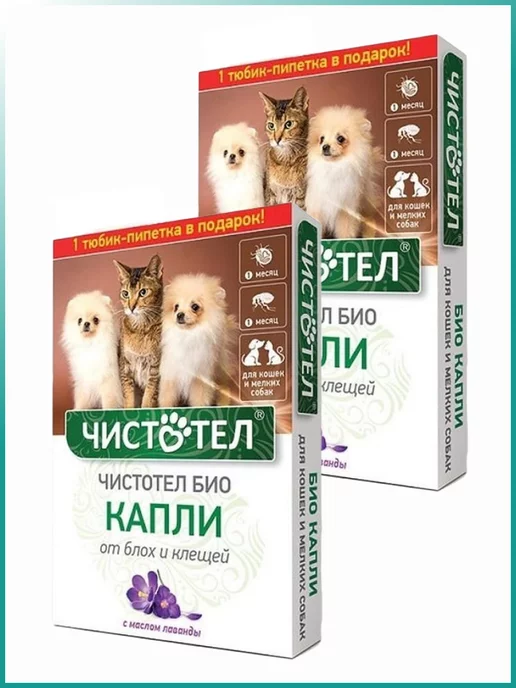 Wildberries — интернет-магазин модной одежды, обуви и аксессуаров