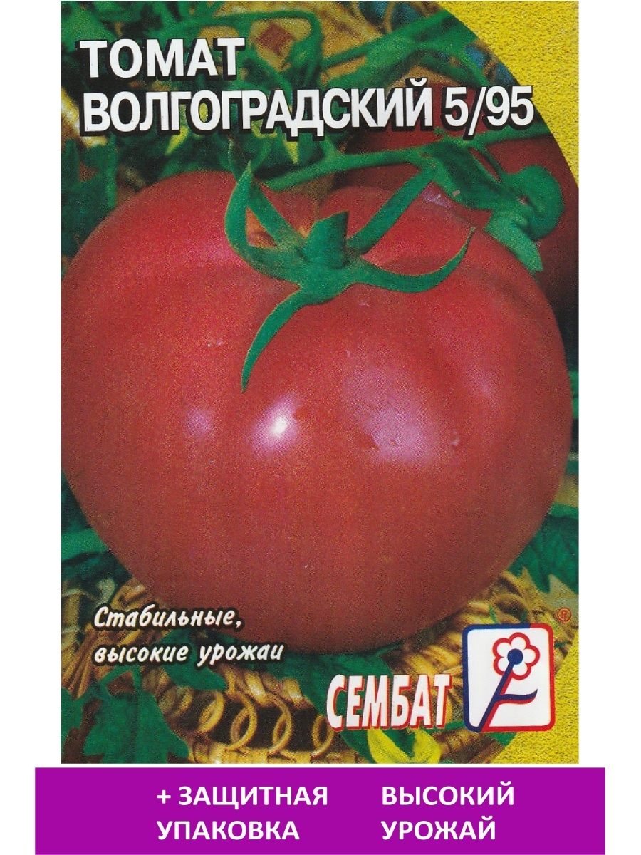 Томаты волгоградские описание. Томат сорт Волгоградский 5/95. Волгоградский 5/95 томат описание. Томат 5/95 описание. 5/95 Волгоградский помидор урожайность.