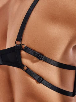 Эротикалық бөліністер