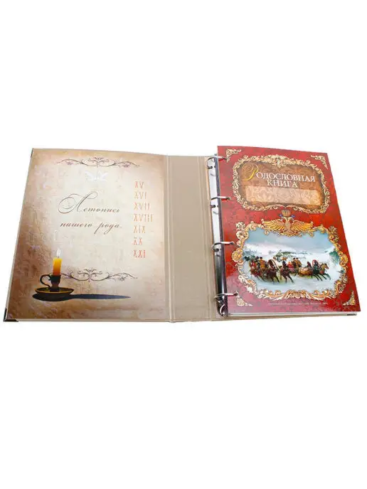 Российский центр родословия Родословная книга "Тройка лошадей", красный, фото 3