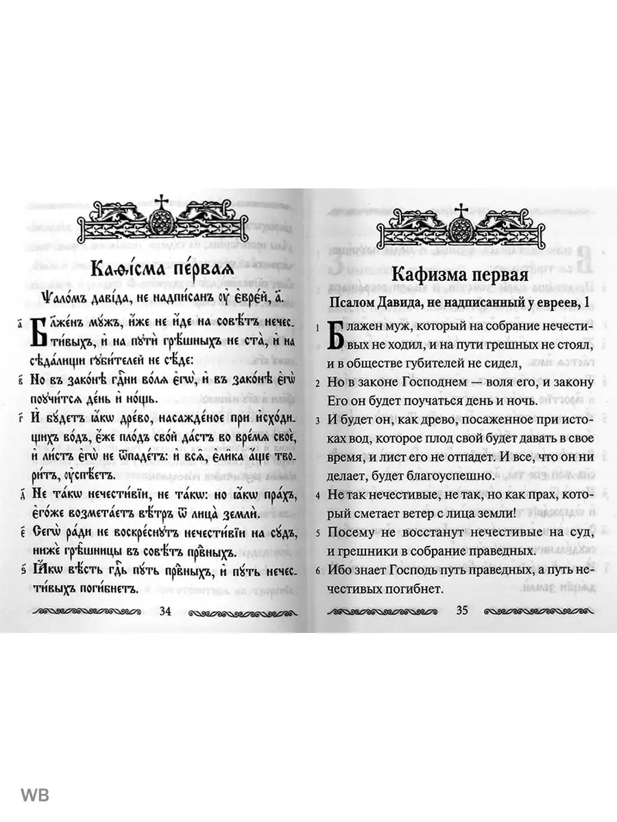 Псалтирь учебная на церковнославянском языке с параллельным переводом  Духовное преображение 86266199 купить за 600 ₽ в интернет-магазине  Wildberries