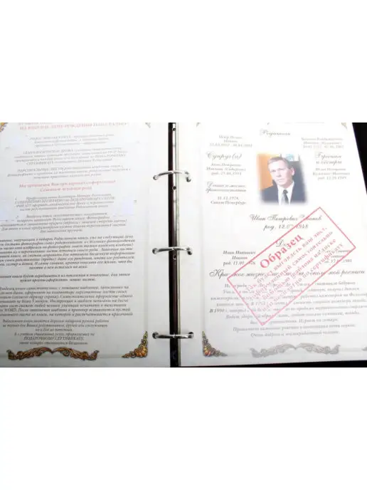 Российский центр родословия Родословная книга "Элитная" с обложкой из натуральной кожи, коричневый, фото 8