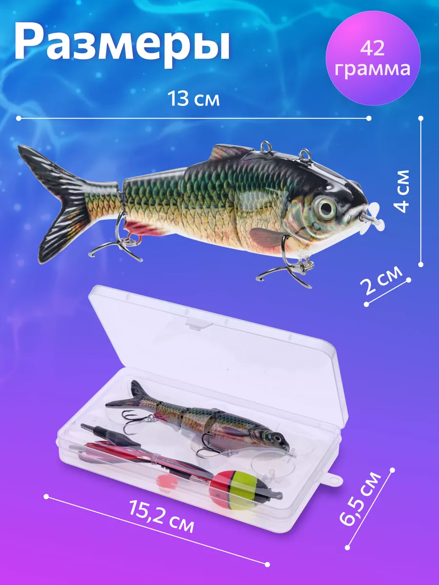 Animated Lure - Bringing Fishing to Life 