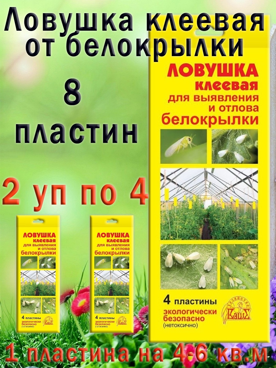 От белокрылки препараты отзывы. Защита от белокрылки в открытом грунте.