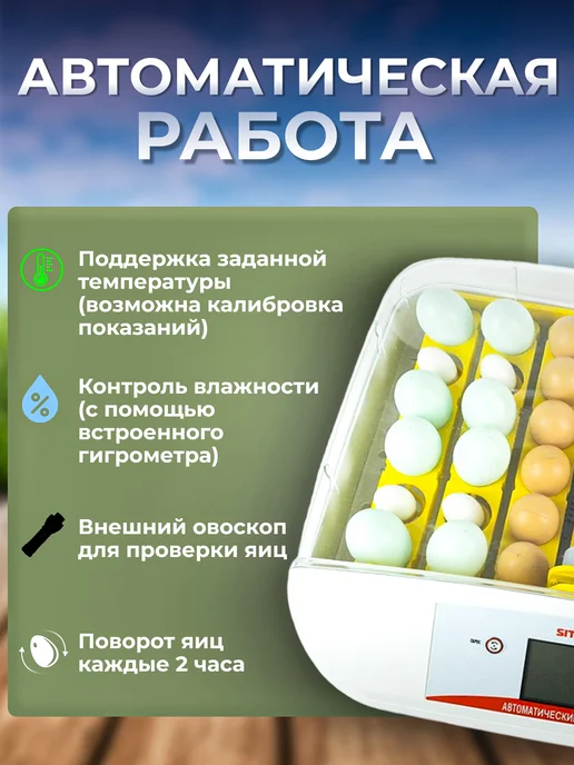 Sititek Инкубатор на 41 яйцо автоматический, вариант, фото 2
