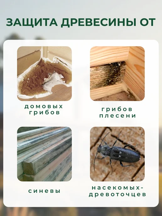Ярославский антисептик Пропитка для дерева антисептик ХМФ-221 10 л, 5 л, фото 3