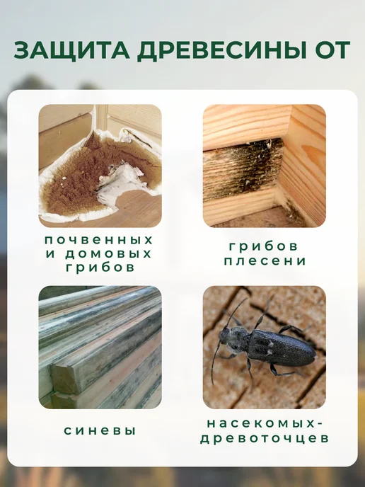 Ярославский антисептик Пропитка для дерева антисептик ХМФ БФ 10 л, 1 л, фото 3