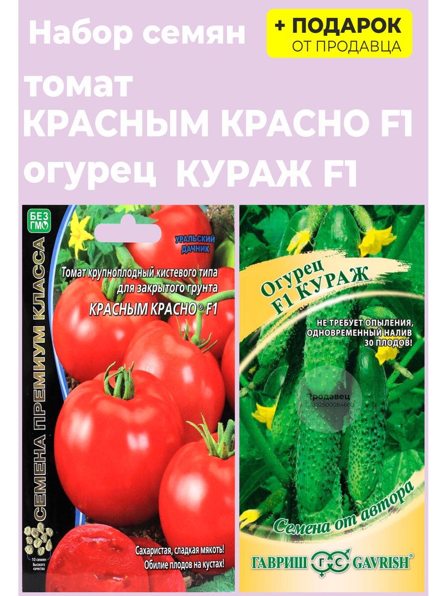 Помидоры кураж описание сорта фото. Томат красным красно f1 Уральский Дачник. Томат красным красно f1. Томат Уральский богатырь. Томат красным красно f1 характеристика.