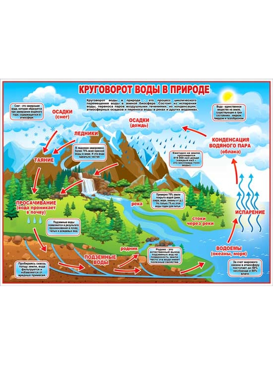 Картинка круговорот воды в природе для дошкольников