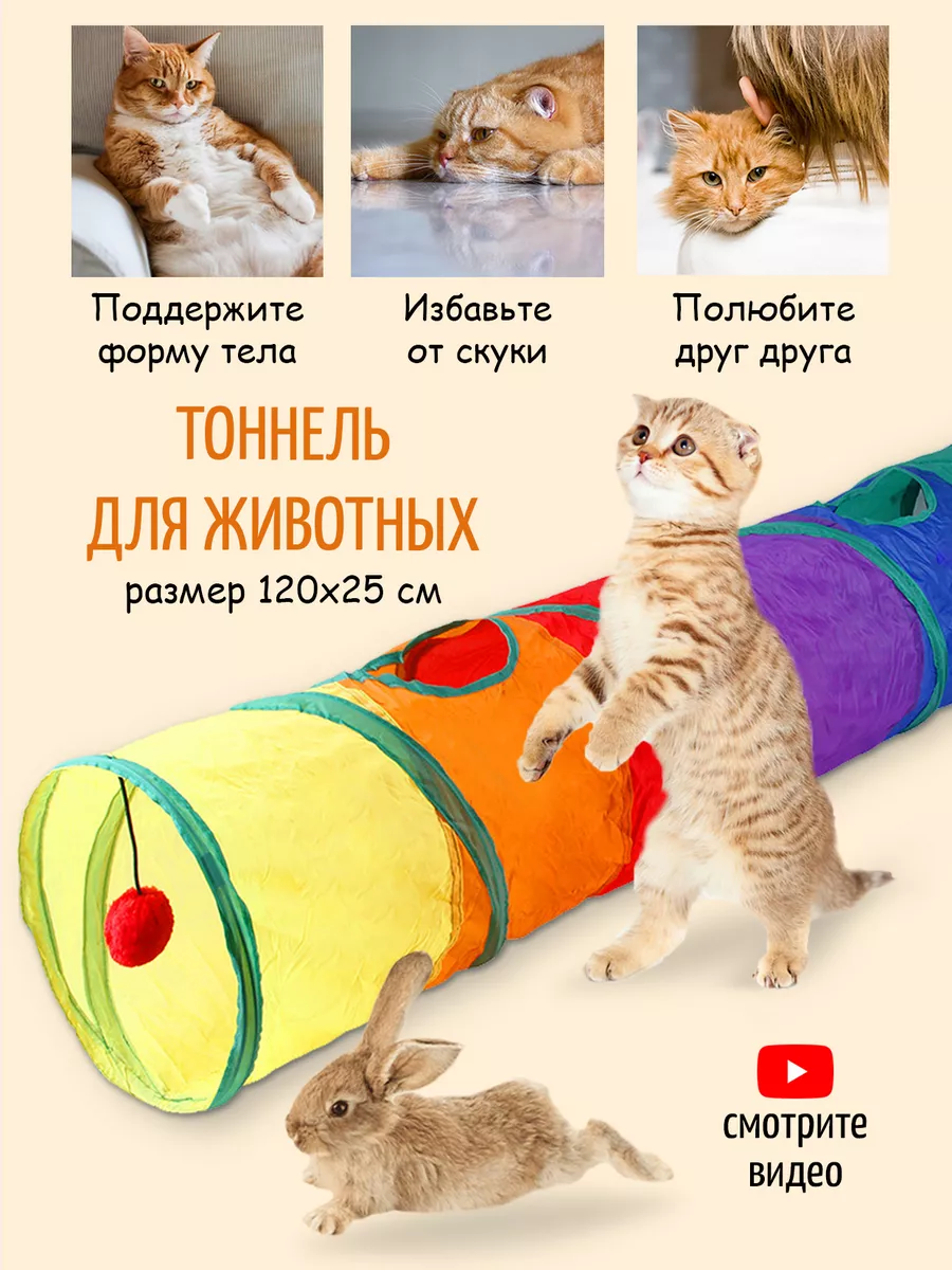 Игрушки и когтеточки для кошек