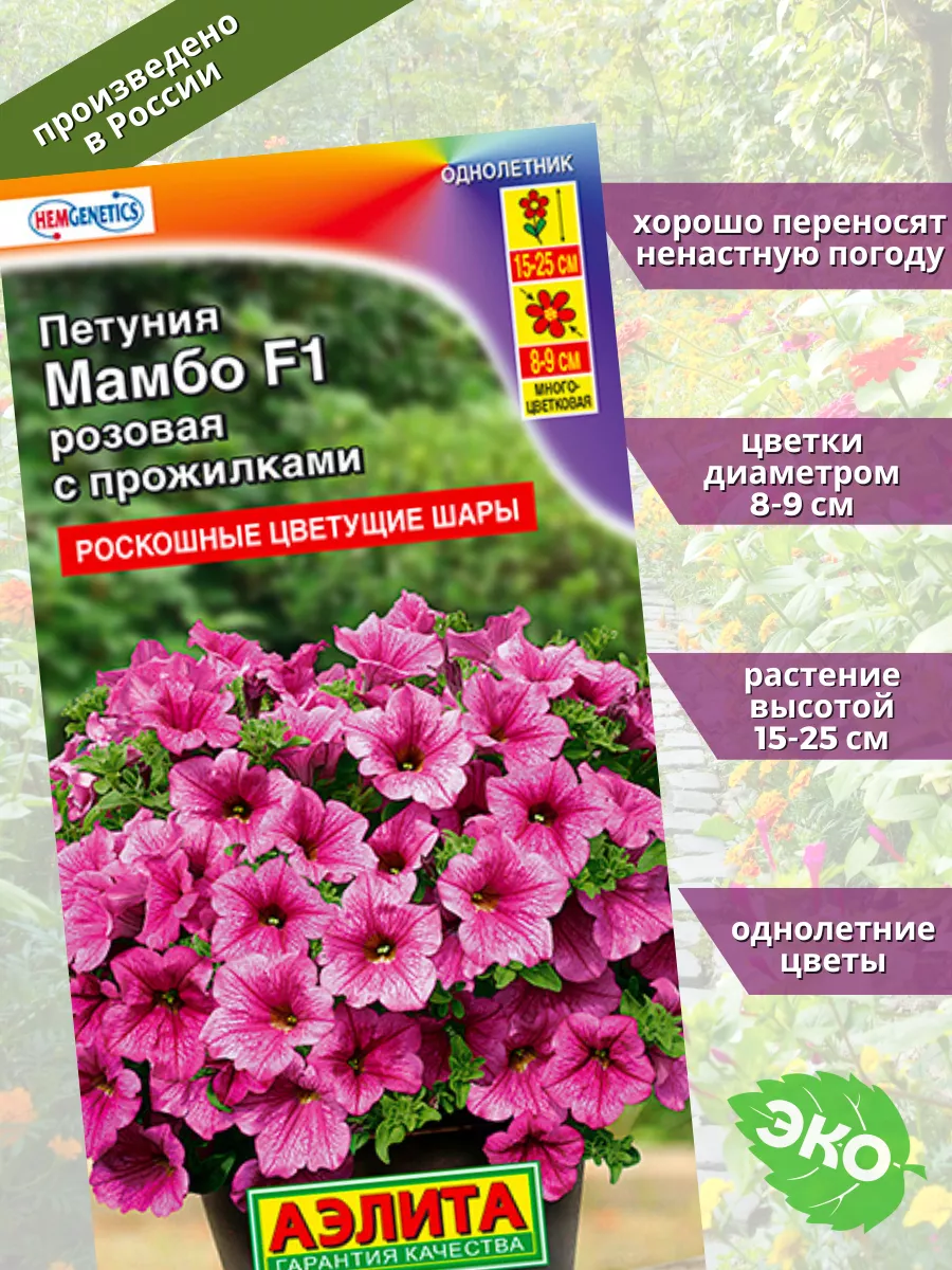 Петуния Мамбо Описание Фото Отзывы