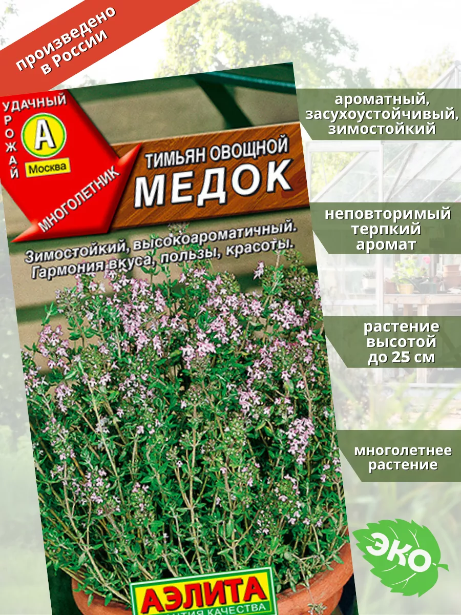 Тимьян овощной Медок