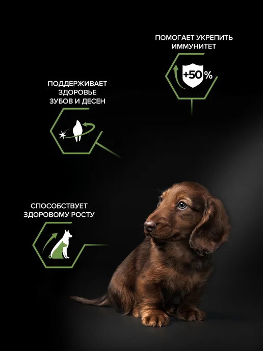 Сухой корм PRO PLAN для собак, мелкие, щенки, курица, 0,7 кг, фото 4