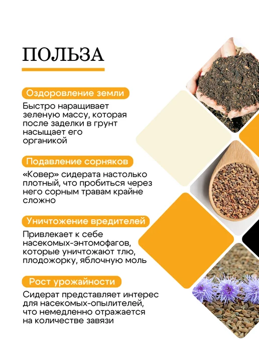 Природа Мёда Семена фацелии пижмолистной 1 кг, урожай 2026 года, 1 кг, фото 2