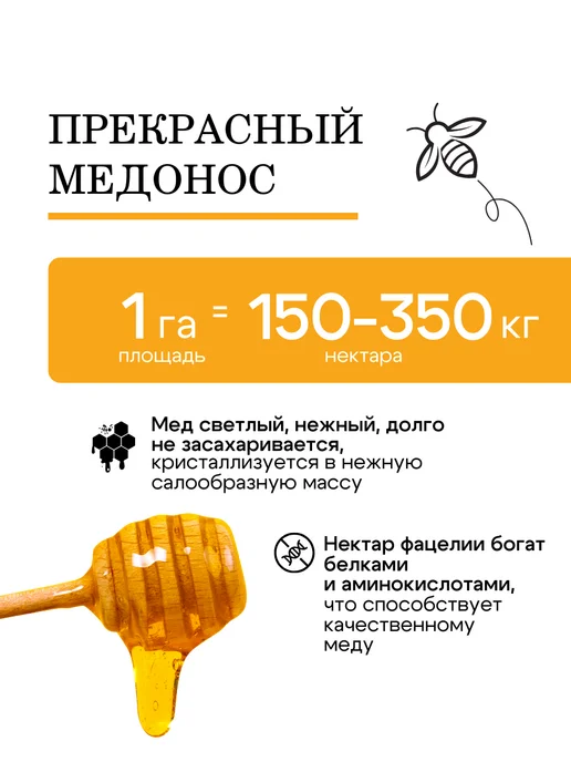 Природа Мёда Семена фацелии пижмолистной 1 кг, урожай 2026 года, 1 кг, фото 3