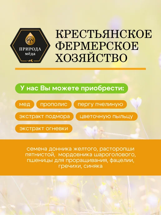 Природа Мёда Семена фацелии пижмолистной 1 кг, урожай 2026 года, 1 кг, фото 5
