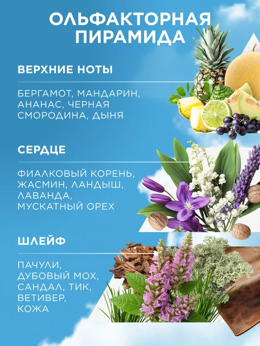 Faberlic Туалетная вода 8 Element, духи мужские Фаберлик, вариант, фото 4