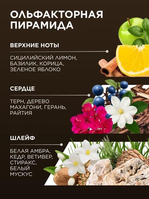Faberlic Туалетная вода Don Leon, духи мужские Фаберлик, вариант, фото 4