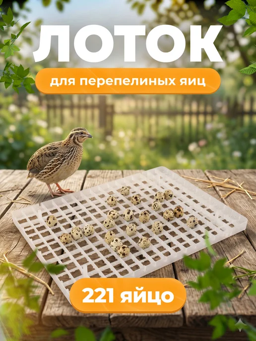 Агромадана Лоток для перепелиных яиц в инкубатор на 221 шт, 221 шт