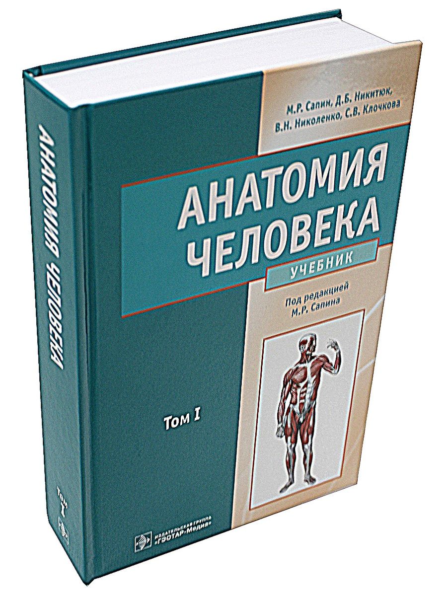 Учебник человек. Сапин Никитюк анатомия человека. Учебник по анатомии Сапин.