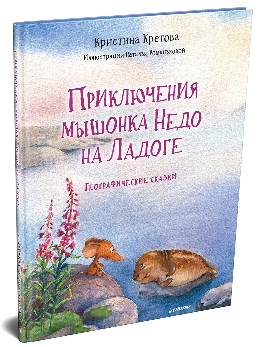 Приключения мышонка Недо на Ладоге. Географические сказки ПИТЕР 87003828  купить за 604 ₽ в интернет-магазине Wildberries