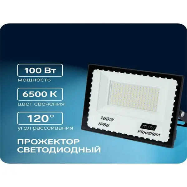 Прожектор светодиодный, 100 Вт, 7700 Лм, 6500К, IP66, 220V