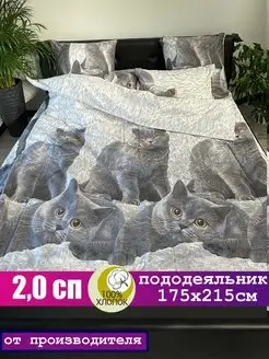 Пододеяльник 2 спальный СОНиЯ бязь хлопок СОНиСОН 87302303 купить за 1 139 ₽ в интернет-магазине Wildberries