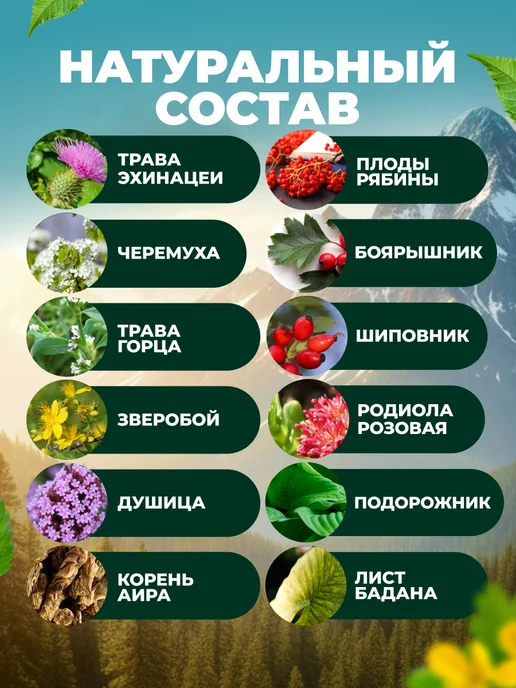 Мед и Конфитюр Бальзам Горная СибирьИмунный 250 мл, 250 мл, фото 2