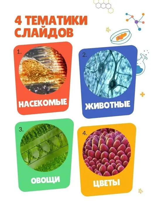 БИОКЛАСС Набор микропрепаратов 48 образцов, зеленый, фото 3