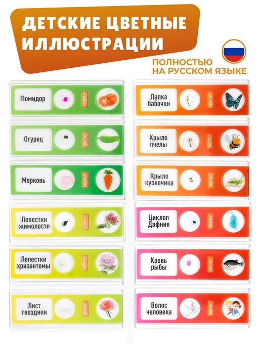 БИОКЛАСС Набор микропрепаратов 48 образцов, зеленый, фото 4