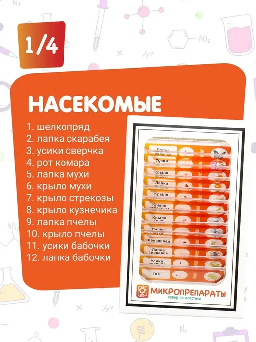 БИОКЛАСС Набор микропрепаратов 48 образцов, зеленый, фото 7