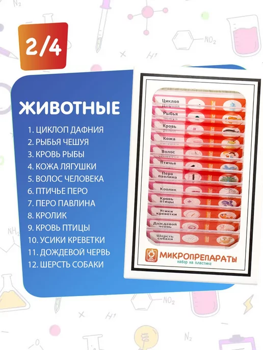 БИОКЛАСС Набор микропрепаратов 48 образцов, зеленый, фото 8