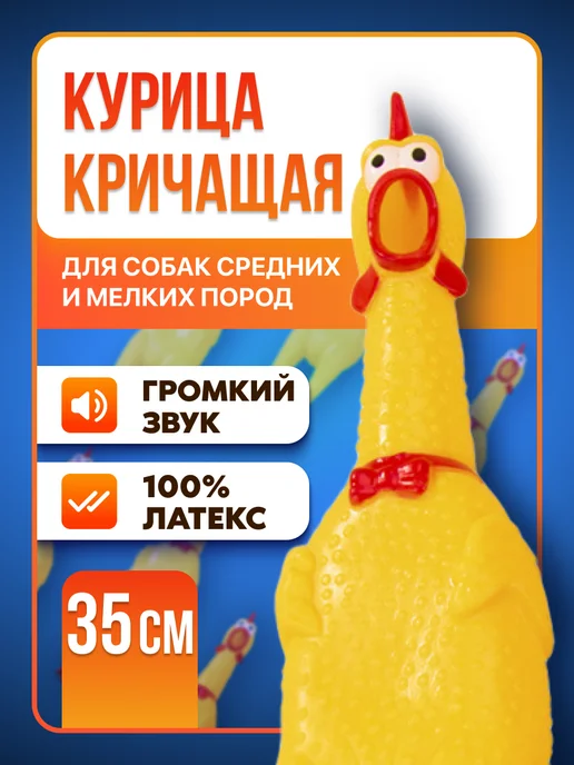 Курица игрушка для собак и животных image