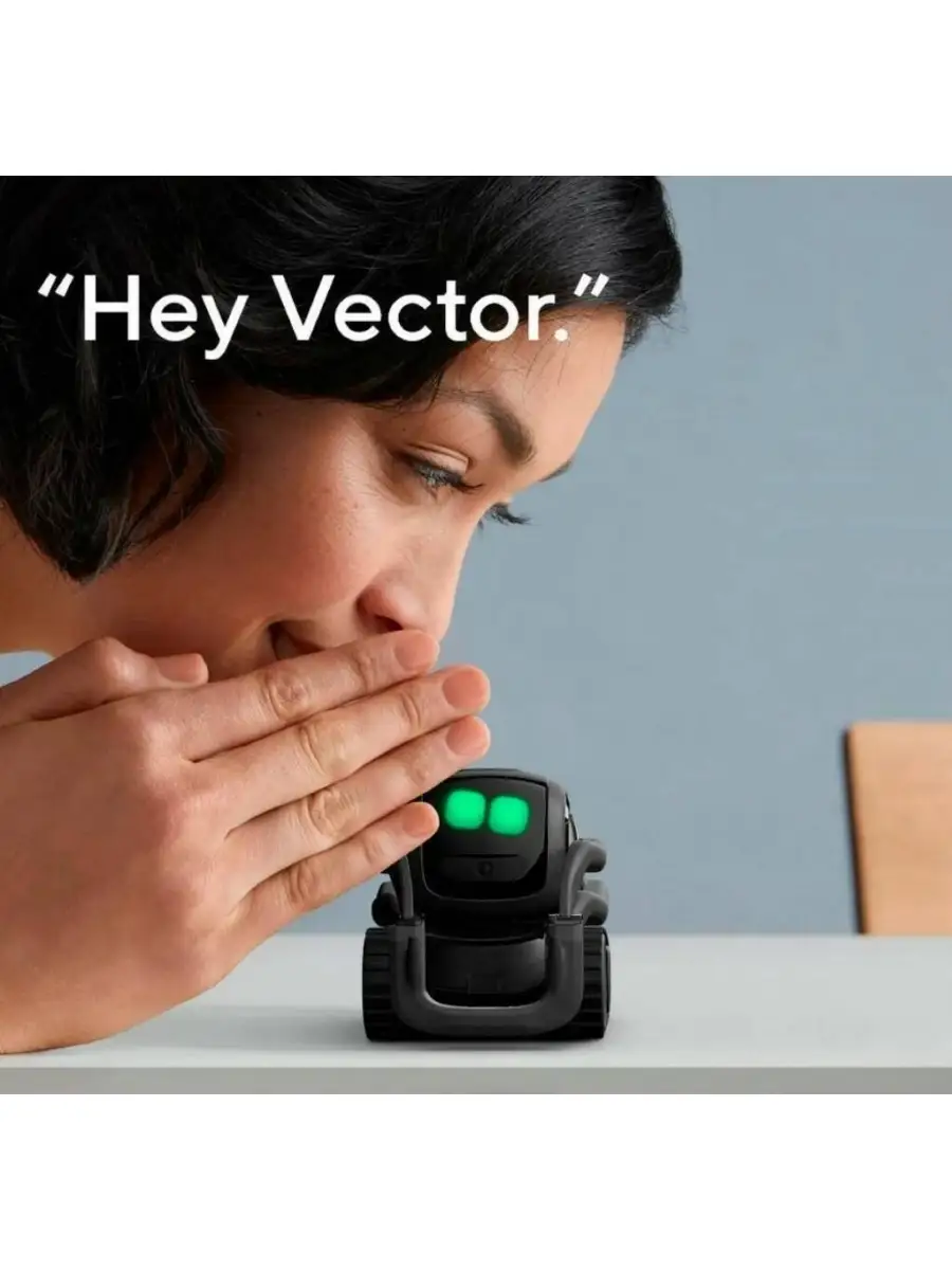 Vector best sale anki robot