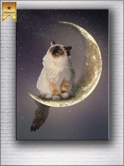 Gozallik bilan yumshoq jinsiy aloqa