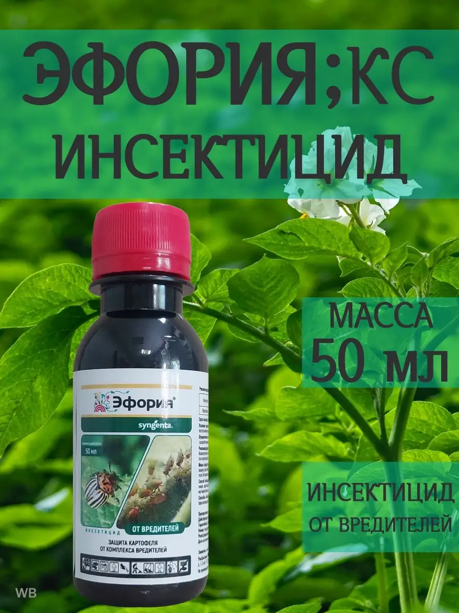 Эфория кс. Эфория КС инсектицид. Биоверт препарат от белокрылки. Эфория, КС инсектицид (100 мл).