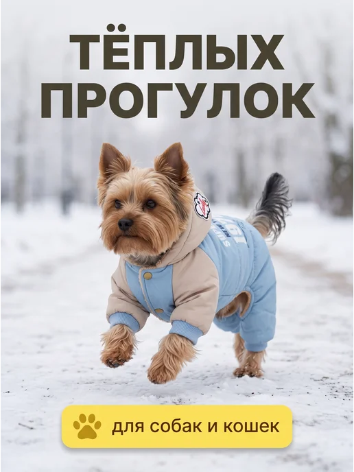 Arnydog Комбинезон для собак мелких и средних пород, голубой, фото 4