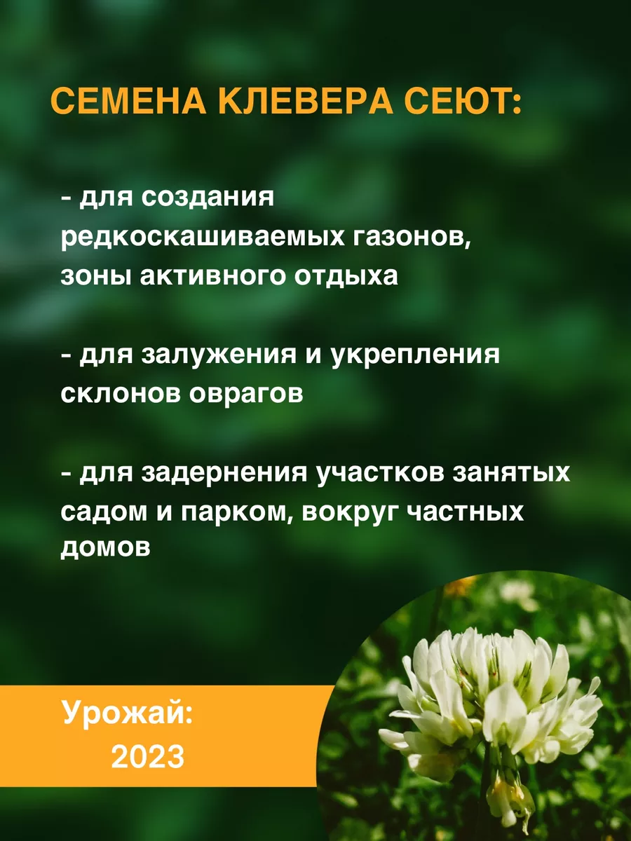 Клевер белый семена ползучий 500 гр (Матвей-СуперЭлита) ООО ВЭЛАГРО  87926432 купить за 1 126 ₽ в интернет-магазине Wildberries