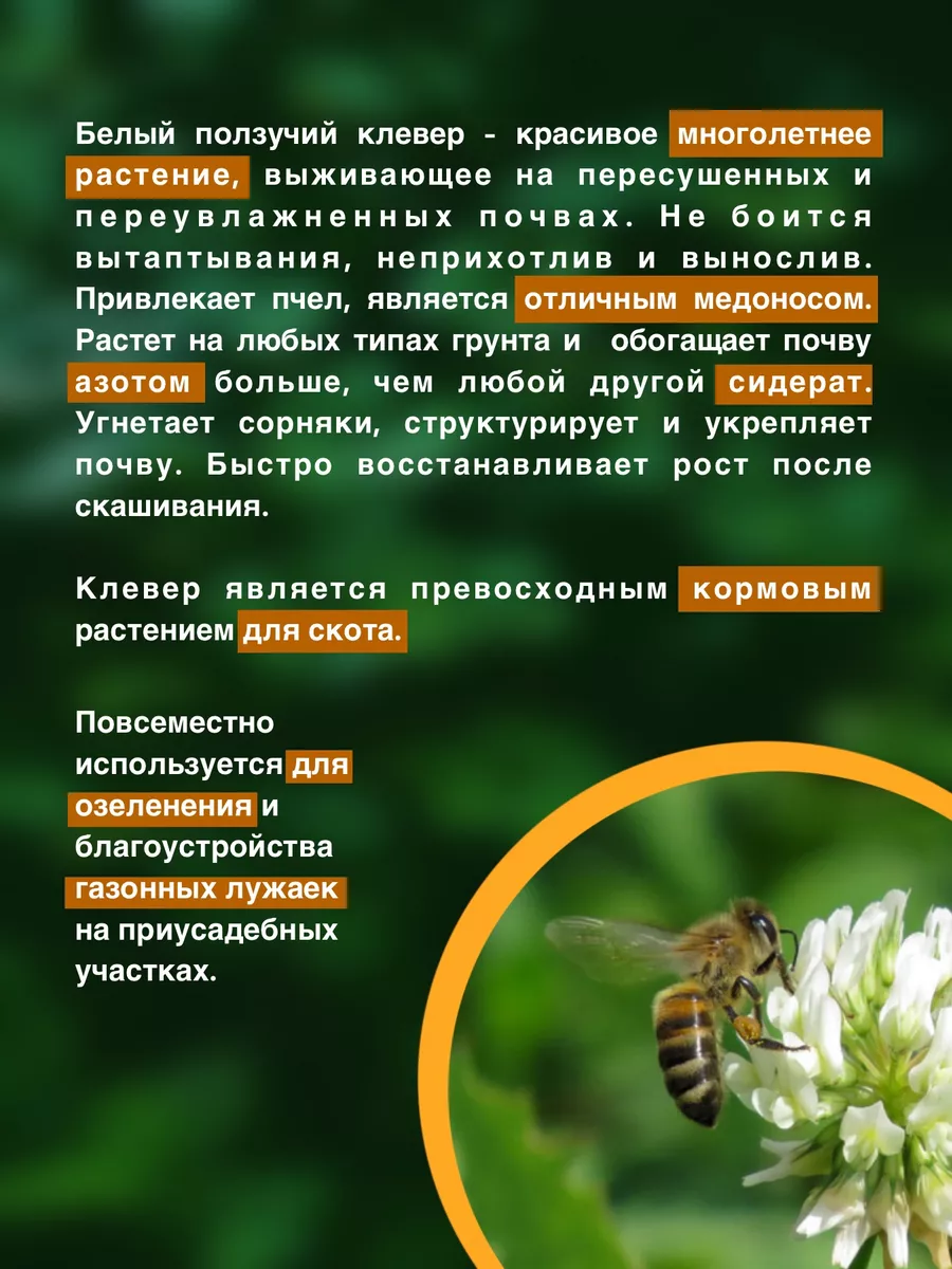 Клевер белый семена ползучий 500 гр (Матвей-СуперЭлита) ООО ВЭЛАГРО  87926432 купить за 1 126 ₽ в интернет-магазине Wildberries