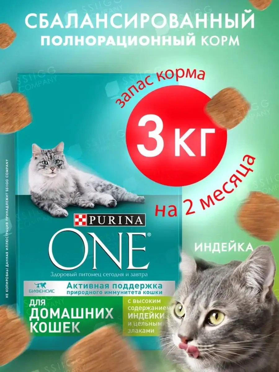 Purina company 2024