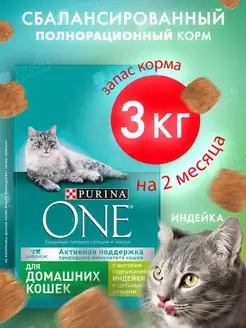 Purina One Корм сухой для домашних кошек с индейкой 3 кг ! PURINA ONE 88023270 купить за 1 282 ₽ в интернет-магазине Wildberries