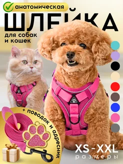 Шлейка для собак мелких и средних пород Savipets 88388819 купить за 546 ₽ в интернет-магазине Wildberries