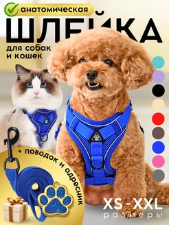 Шлейка для собак мелких средних пород и кошек с поводком Savipets 88388821 купить за 557 ₽ в интернет-магазине Wildberries