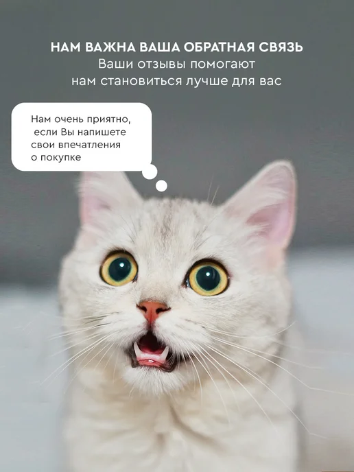 TUTTO L'ANNO Обложка для автодокументов натуральная кожа на кнопке, фиолетовый, фото 6