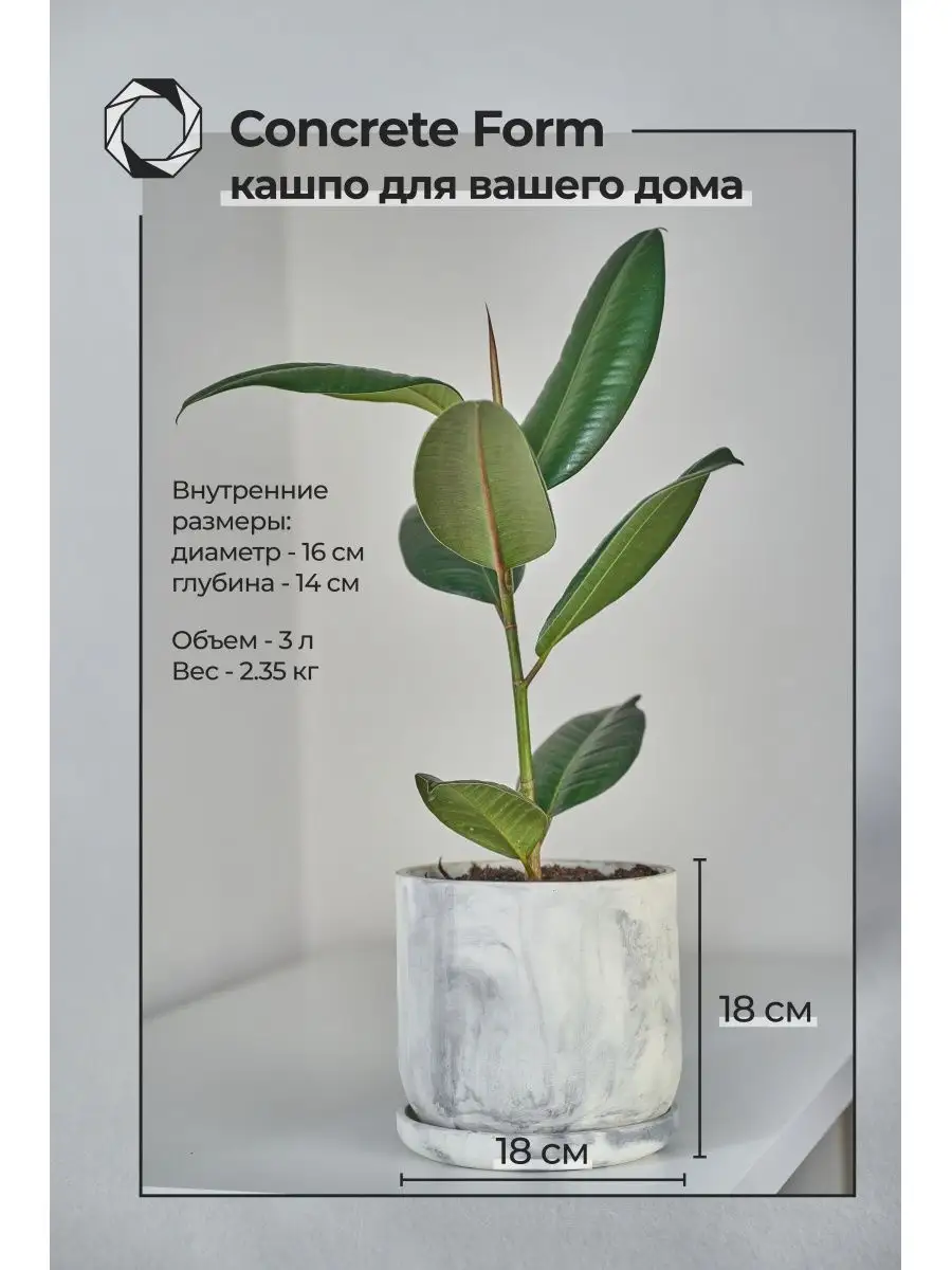 Горшки для растений Concrete-Form 88598291 купить в интернет-магазине  Wildberries