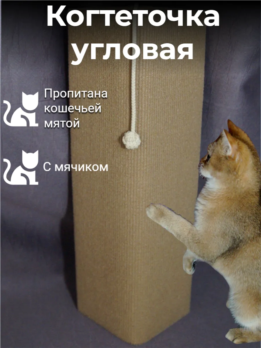 Когтеточка угловая...