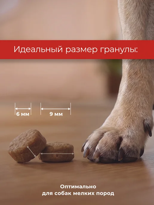 Сухой корм Farmina Чибау для собак, мелкие, чувствительное пищеварение, ягненок, 0,8 кг, фото 3