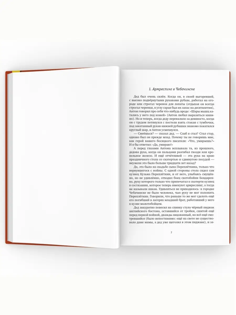 Александр Чудаков. Ложится мгла на старые ступени. Часть I