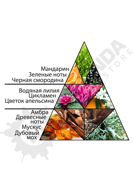 новая заря Саша Одеколон 100 мл, 100 мл, фото 2
