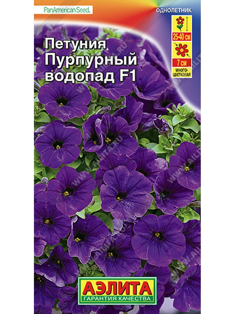 Петуния водопад f1. Петуния чарующий водопад ампельная смесь. Петуния пурпурный водопад. Петуния Парпл вельвет f1. Петуния пурпурная Королева.